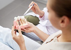 A dentist showing a patient a cross-section mouth mold of a dental implant sitting between two healthy teeth